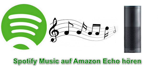 Spotify Musik auf Amazon Echo spielen