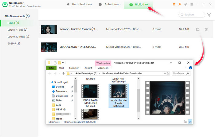 YouTube Video-Downloads checken