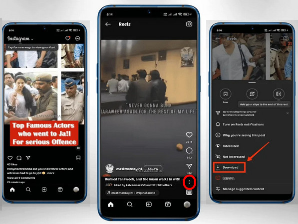 Instagram Videos speichern mit Instander