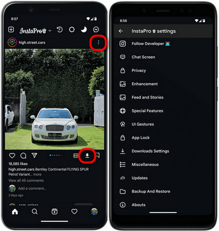 Instagram Videos downloaden mit InstaPro