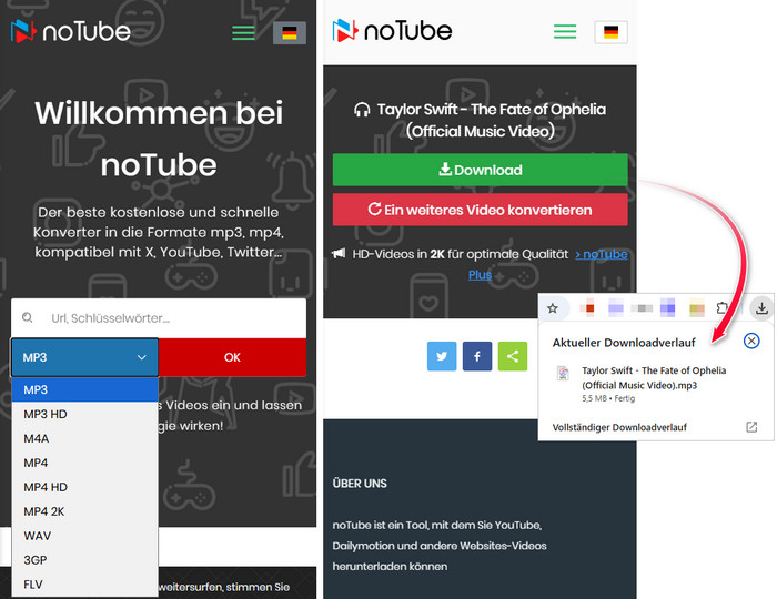YouTube Video mit noTube kostenlos herunterladen