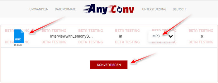 AnyConv Datei-Konverter