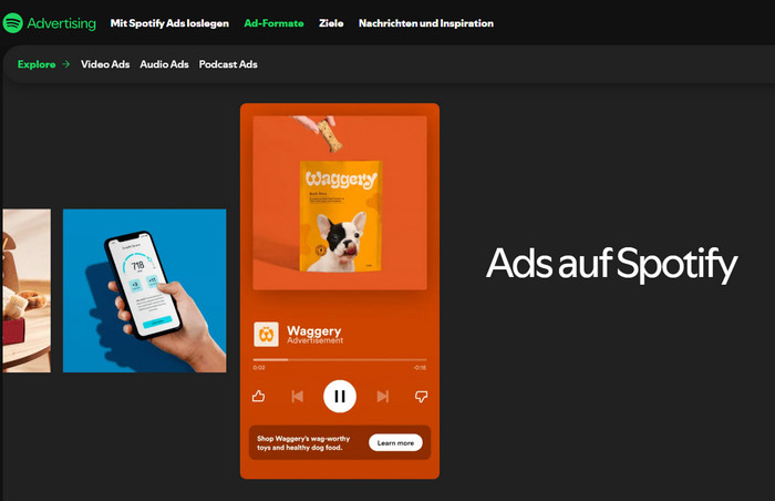 Spotify Ad-Formate