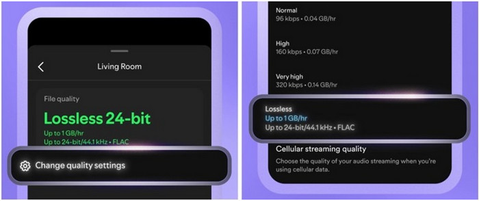 Spotify Lossless aktivieren