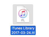 iTunes Library Kopie